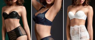 beljo_15-700x481