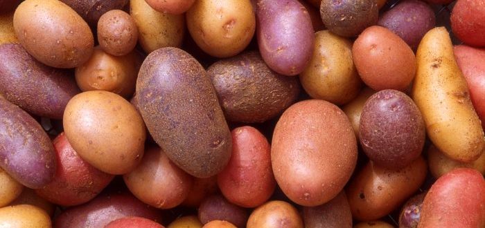 patates2-700x455