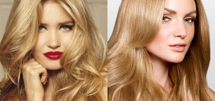 svetlyj_temnyj4-700x467