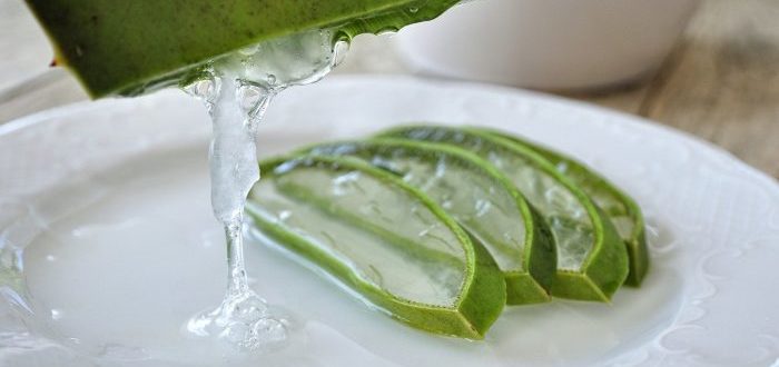 aloe-4529704_1280-700x465